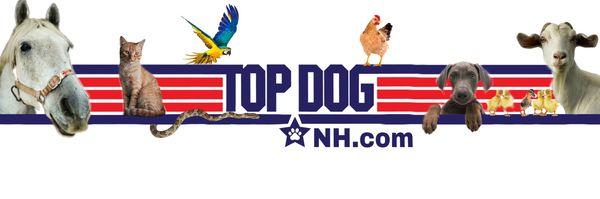 Top Dog NH