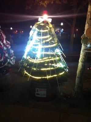 Charlie Brown Christmas Tree Grove, Windsor CA