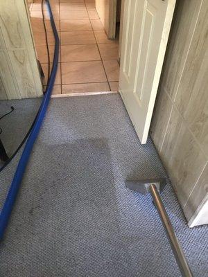 Hoover Carpet & Tile Cleaning