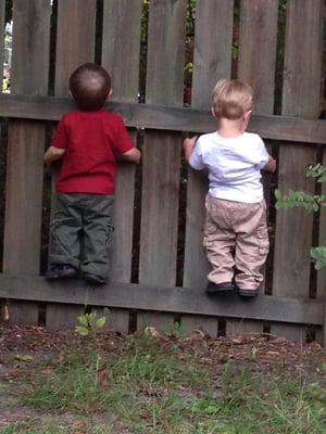 That frog got away darn it!