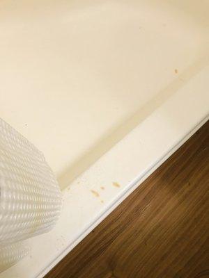 Stains on shower and shower curtain