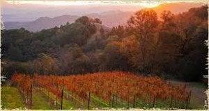 Anderson Criminal Defense Attorney