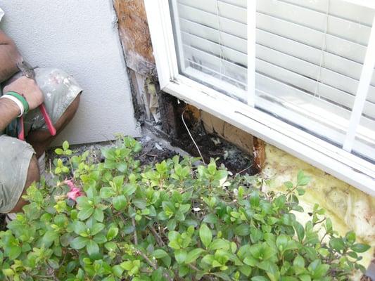 Exterior Building Repairs & Coating