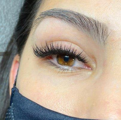 Hybrid lashes