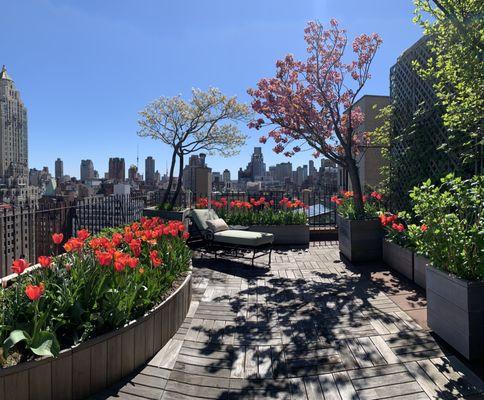 Halsted Welles Associates