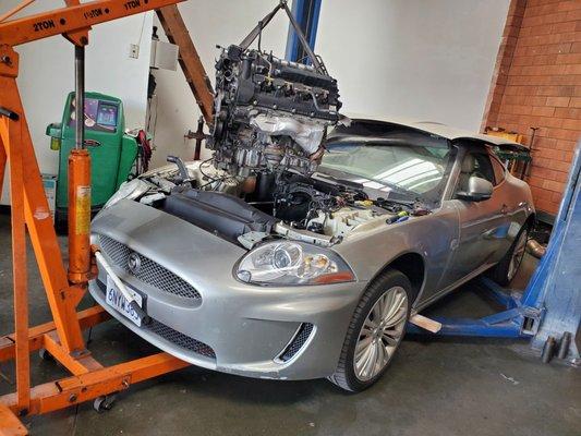 British Auto Specialist