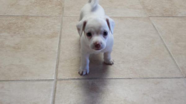 Sandra's Accounting Services