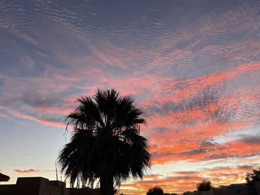 Pristine Leaf Landscape And Design