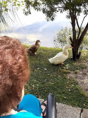 Hands of Love Home Care