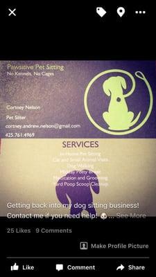 Pawsitive Pet Sitting