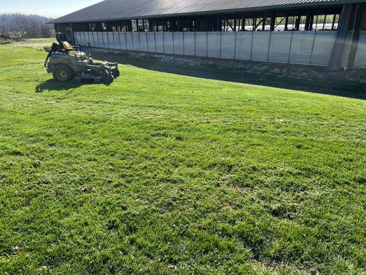 Green Care Landscaping