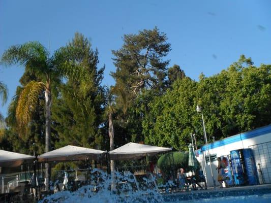 Del Cerro Pool