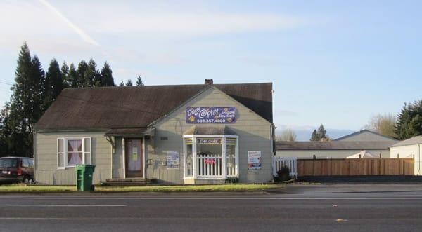 Dogs At Play Doggie Day Care