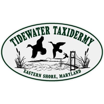 Tidewater Taxidermy