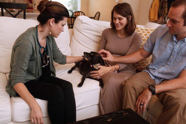 Lap of Love - Norfolk County