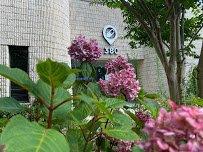 Deliver My Meds Pharmacy at Beautiful oser Ave 380 Long Island