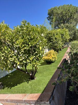 Green Fuel Landscape