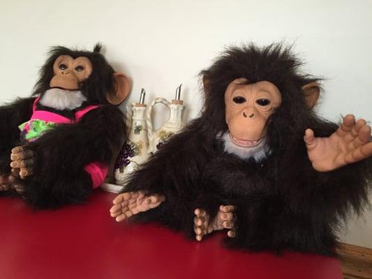 Lunch with the Gorilla's!