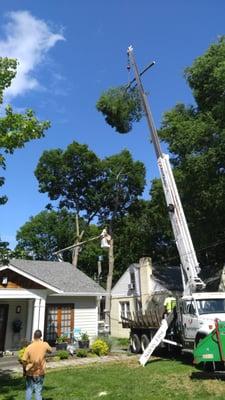 Dave's Landscaping Tree Service & Home Improvement