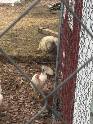 Field Of Dreams Preschool