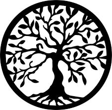 Collazo Tree Service