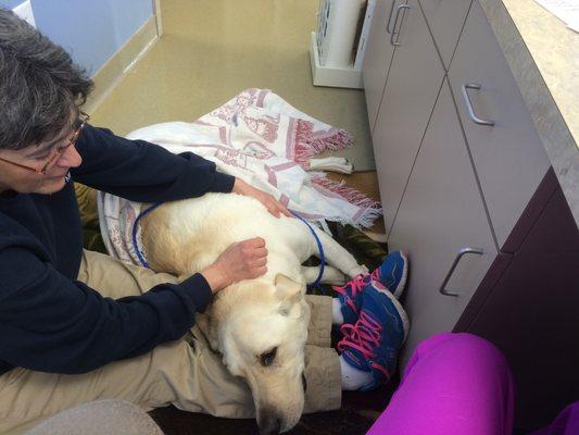 Ruth & Stella Cuddling After Surgery!