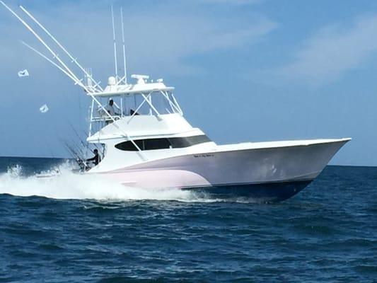 Wet-n-Wild Sportfishing
