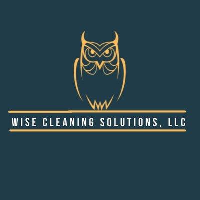 Wise Cleaning Solution