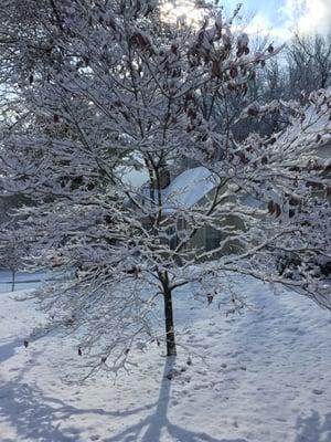 Bryan Gowin Attorney At Law