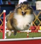 Fun training - fun people