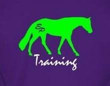 Erin Paulsen Training