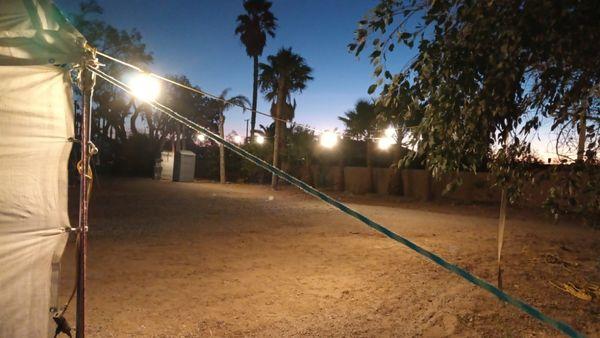 Green Days Artscape Tree Service