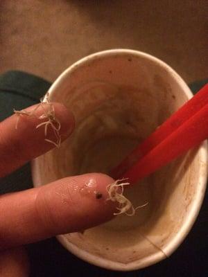 don't know what this was in my blizzard. plastic or glue only i hope.. pretty disgusting never will go to Dairy Queen ever again