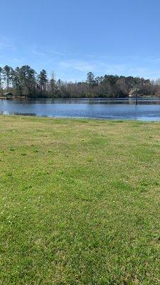 Blue Lawn Maintenance