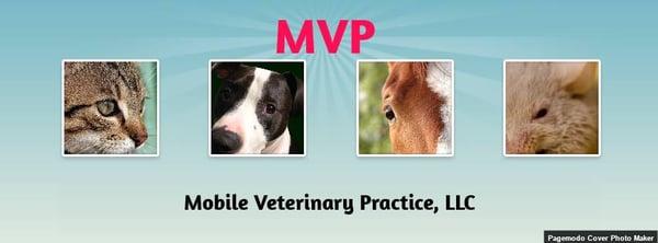Mobile Veterinary Practice