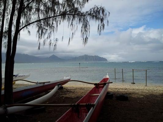 Frank Diaz - Hawaii Home Real Estate