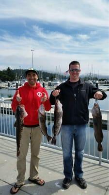 Hit our Lingcod limits! Great eating fish.