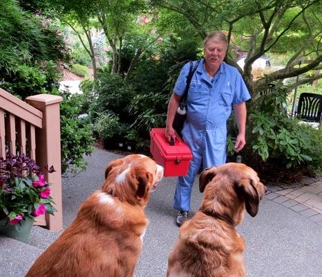 Frederick Sharninghausen, VMD