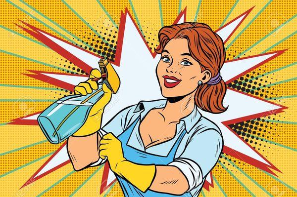 The Cleaning Mad Woman