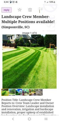 Carolina Landscape Concepts