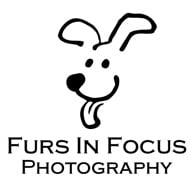 Furs In Focus Pet Portrait Photgraphy
