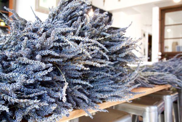 Seattle Seed Company