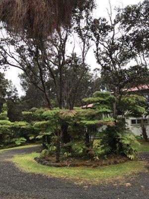 Entrance hidden behind landscaping