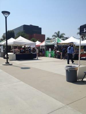 bring cash and your empty stomach!