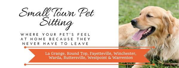 Small Town Pet Sitting