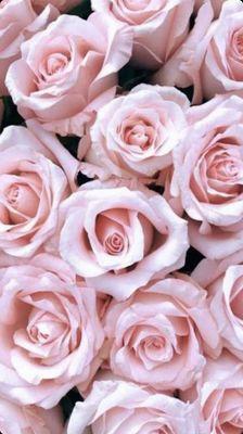 Exclusive Body Sculpting