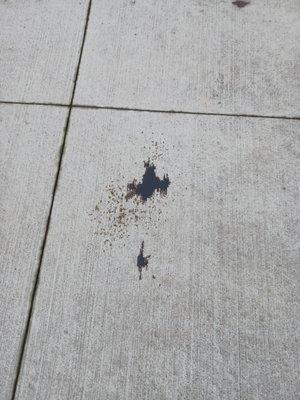 D.C. Electric of NEO