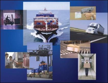 Romanian American Import Export