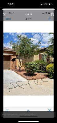 Ole’s Gardening Services