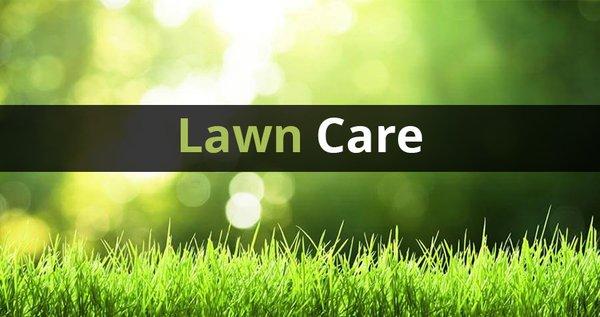 Lawn-N-Order Lawn Care & Property Management